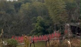 花溪新闻爆料最新消息,揭秘事件背后惊人真相